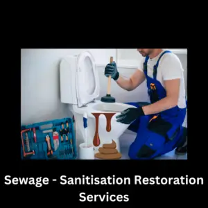 Professional sewage cleanup and sanitization service