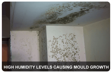 High-humidity-levels-causing-mould-growth